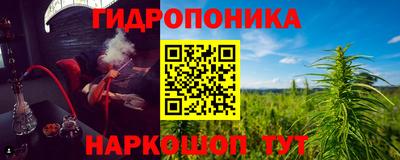 СК Можга