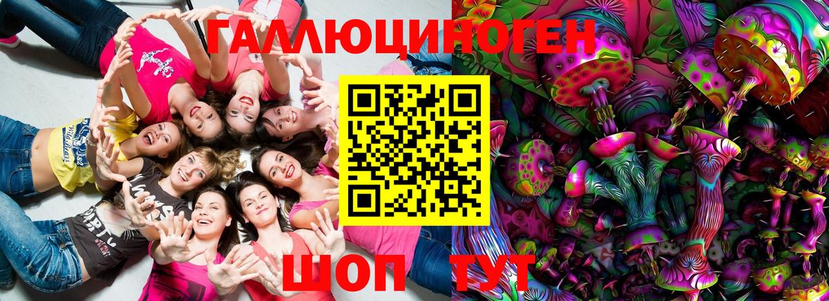 Сочи  Псилоцибиновые грибы прущие грибы  Вход с VPN 