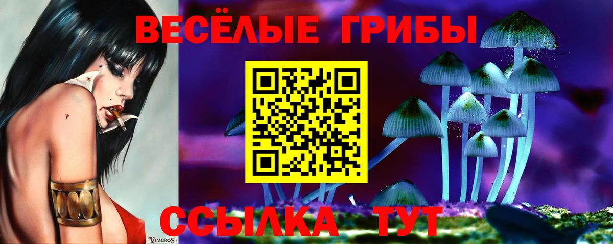 Псилоцибиновые грибы прущие грибы Сочи